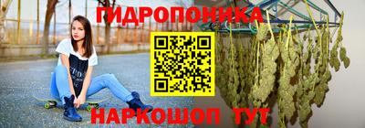 СК Вышний Волочёк