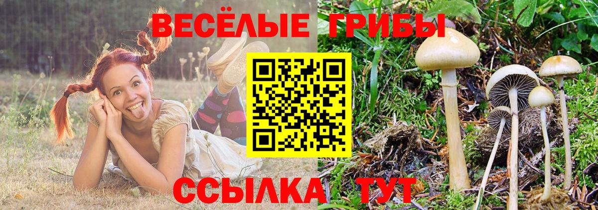 БУТИРАТ Алейск