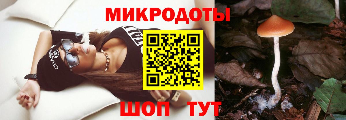 Псилоцибиновые грибы Psilocybe  Вход с VPN  Алейск 